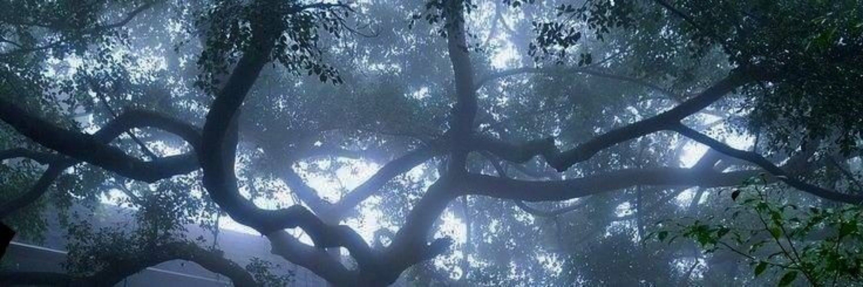 manuu