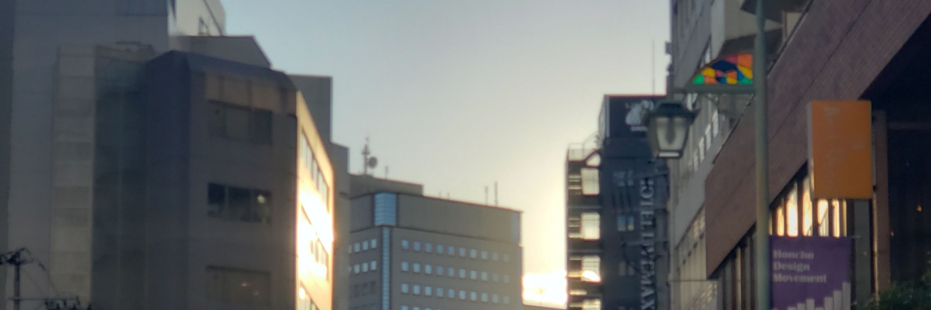 つくぼ