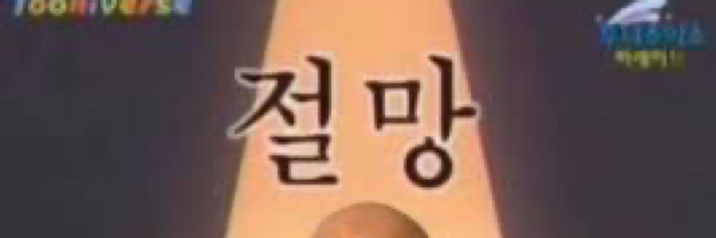 굴비🥊