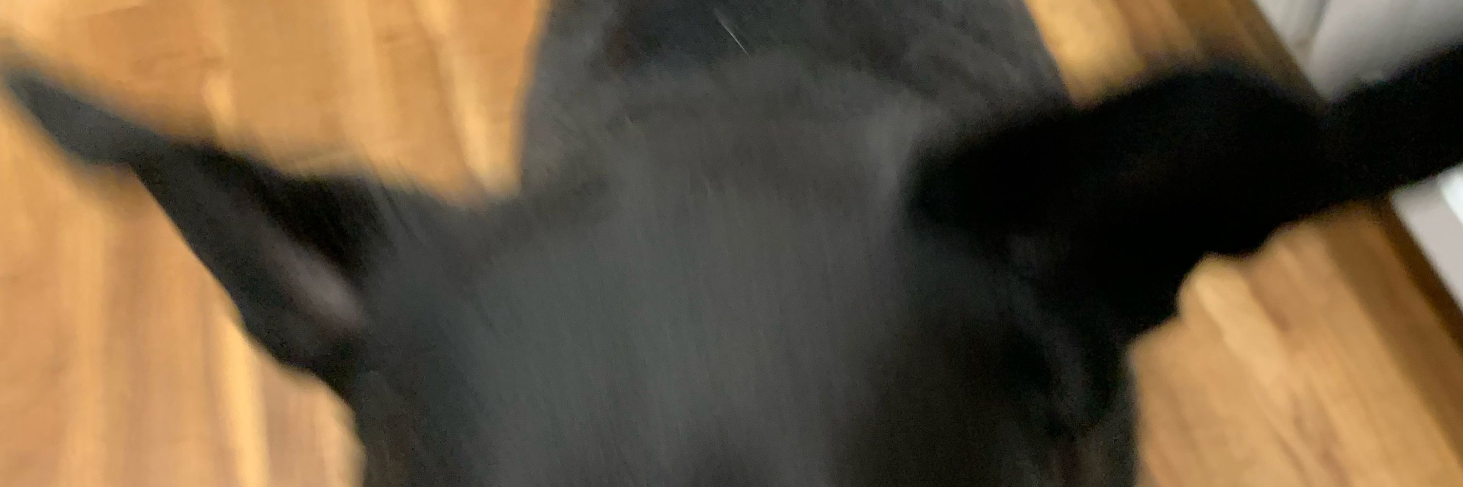 siri lou