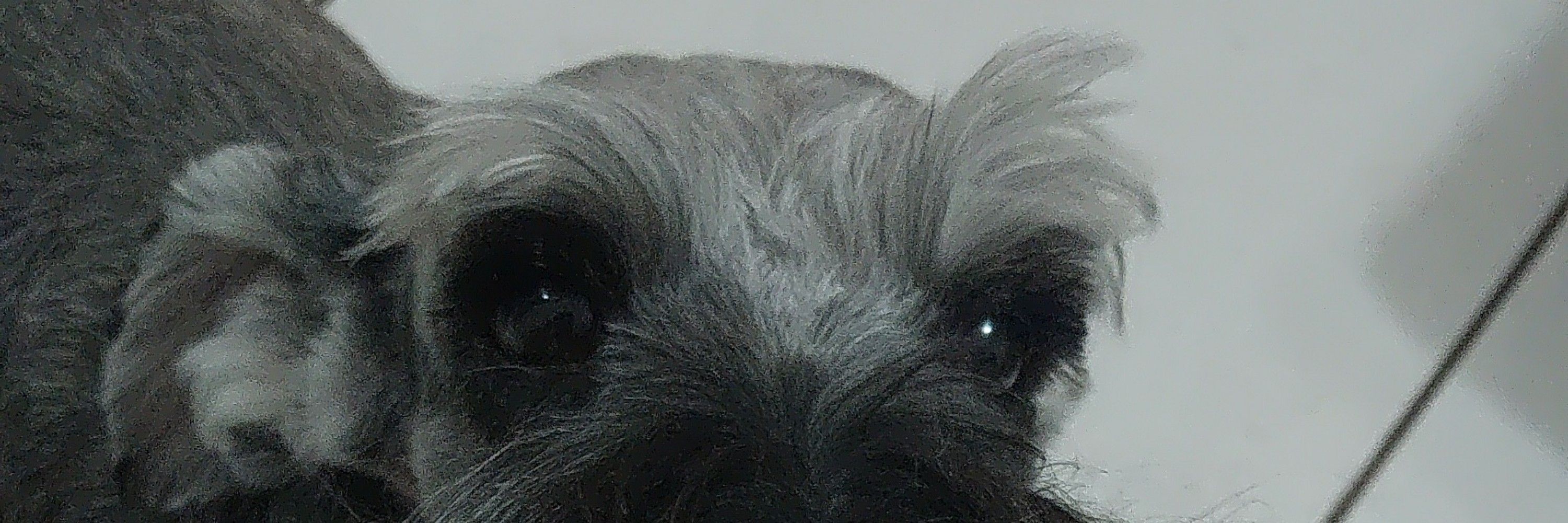 Kekeslala