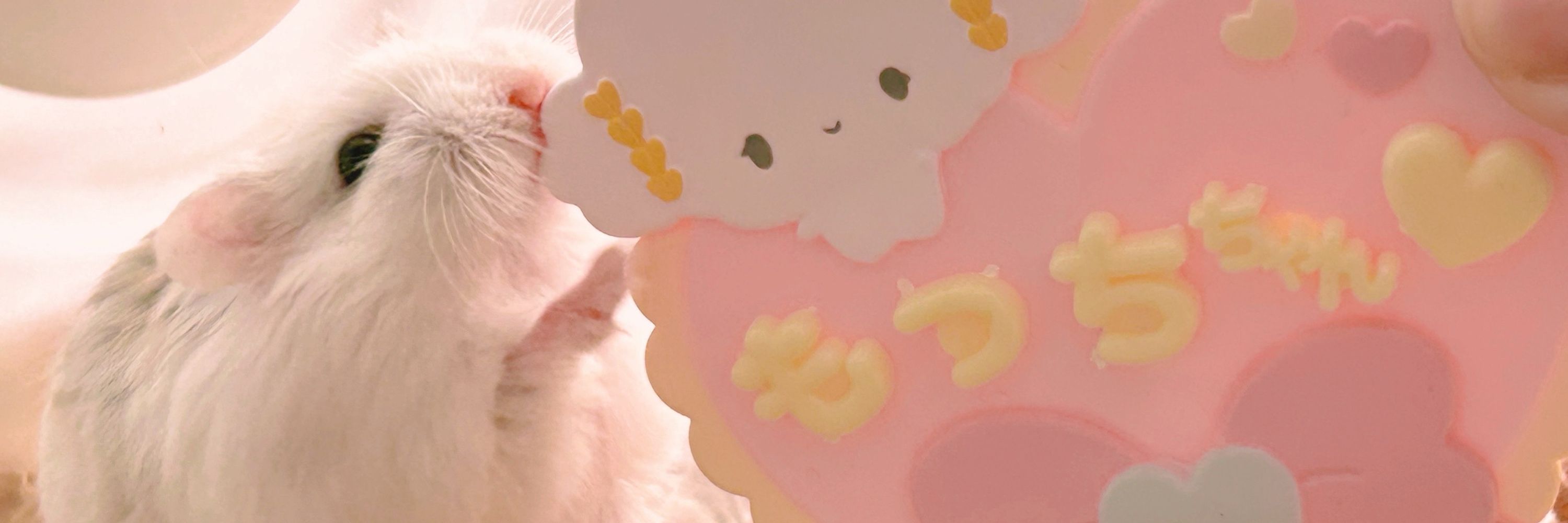すやぴ🌼