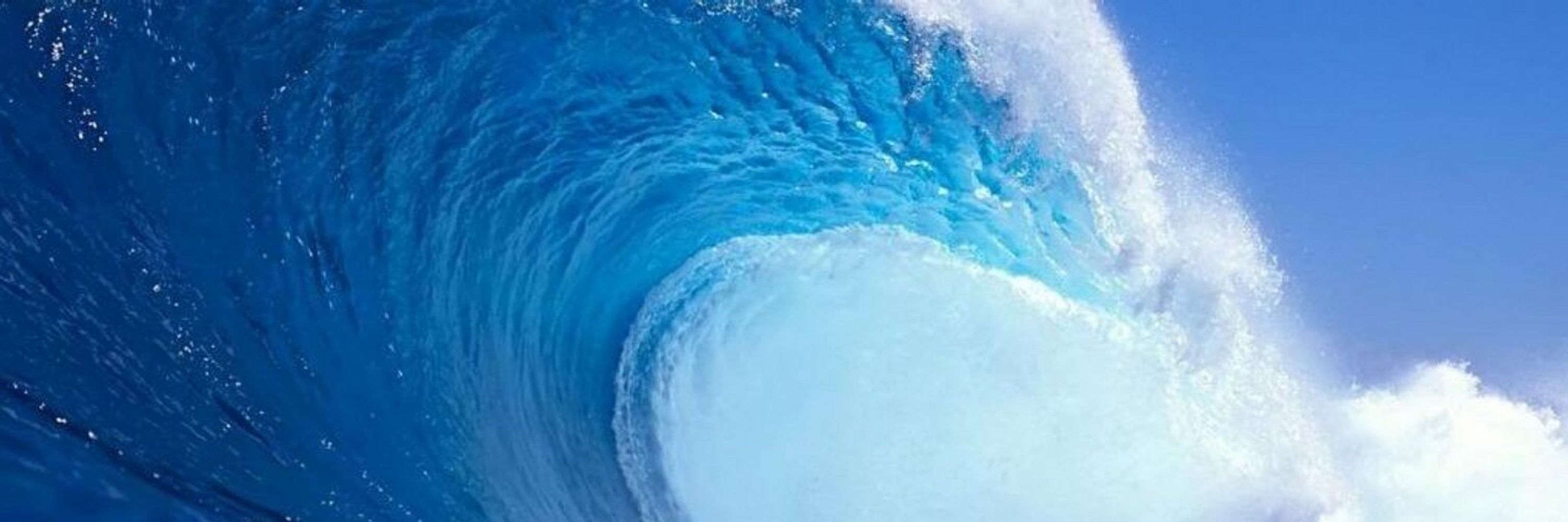 Ocean Tigrox