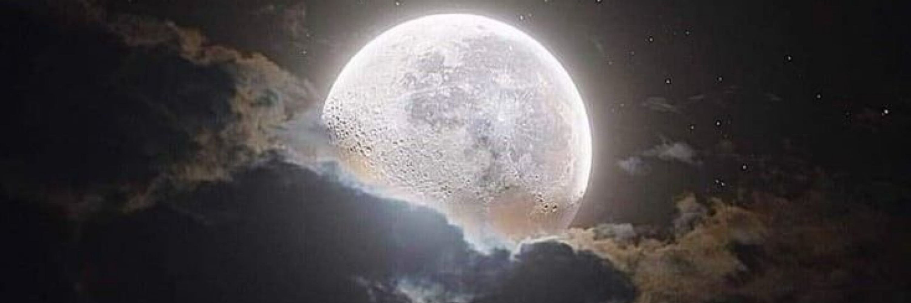 ❨✿ 𝓂𝑜𝑜𝓃𝒸𝒽𝒾𝓁𝒹 ✿❩
