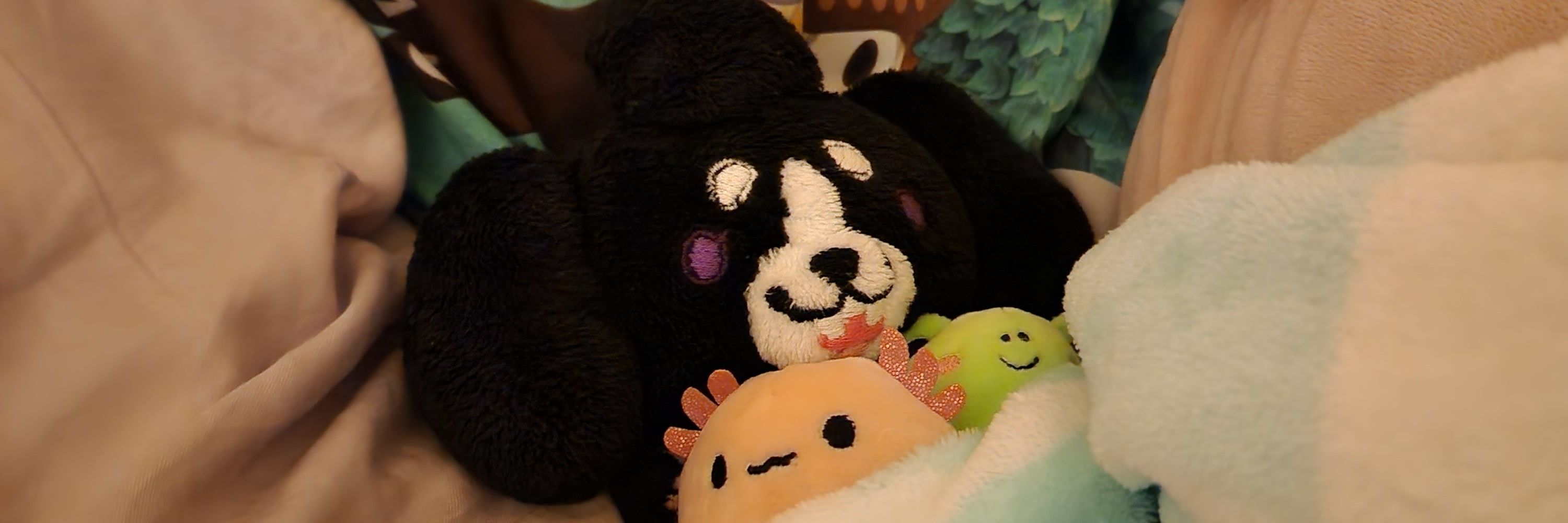 💮Pandy(　-∀・)💮