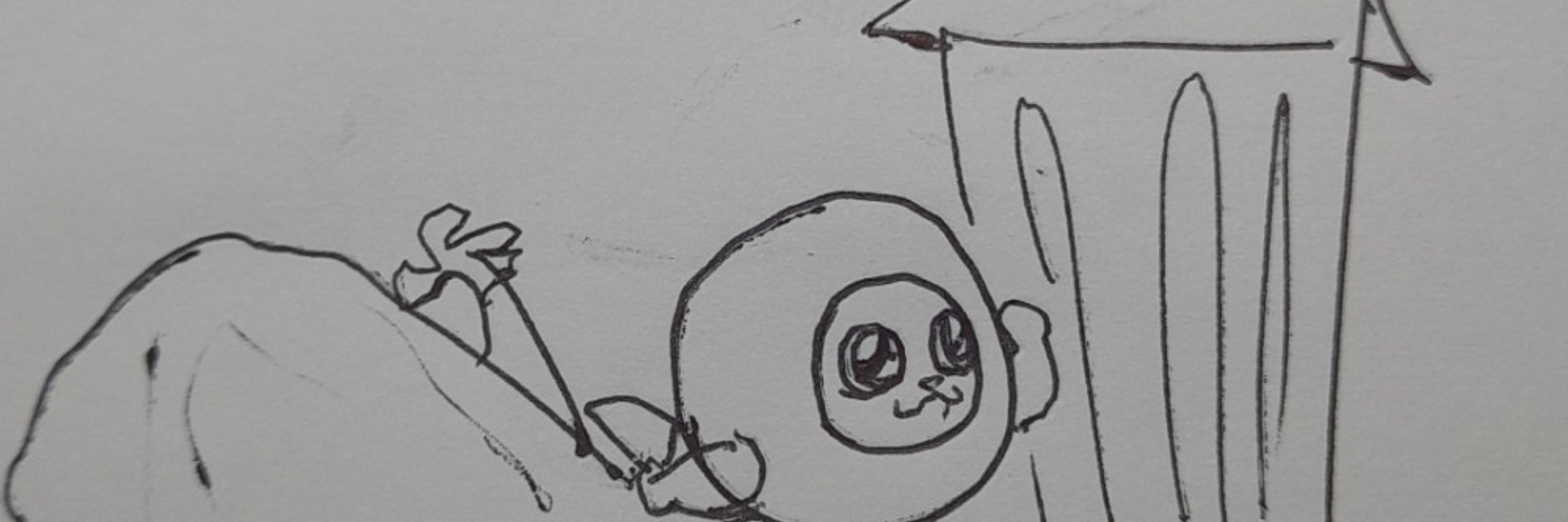 kiwikat