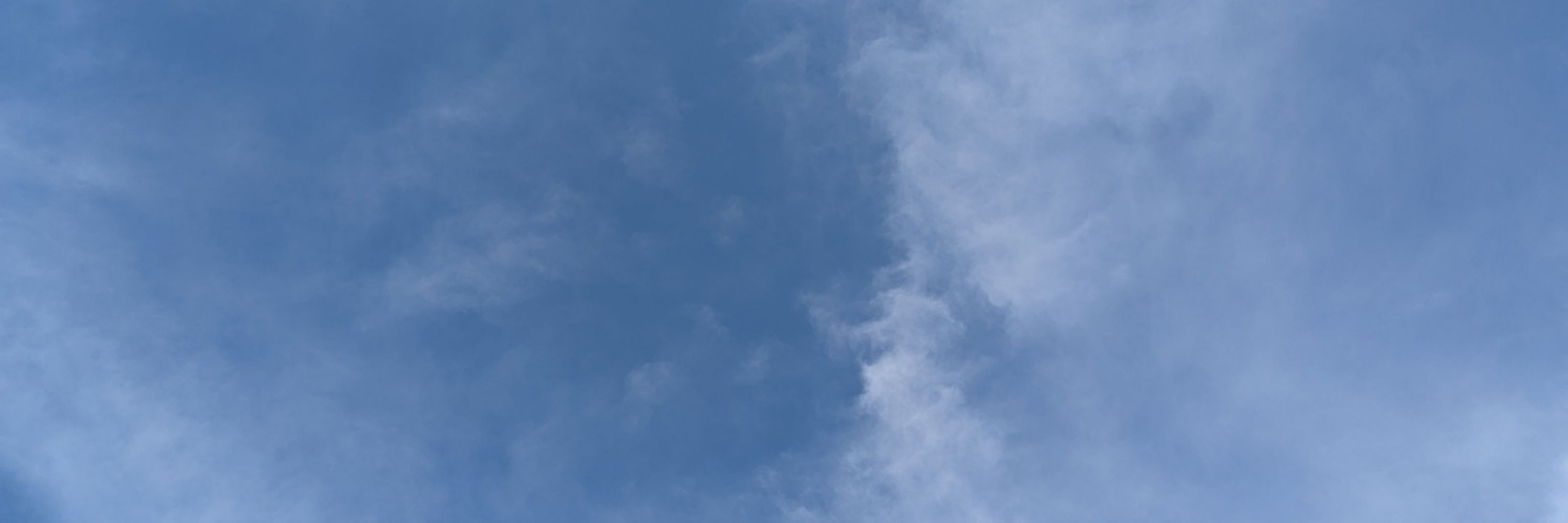 Bluesky Furs