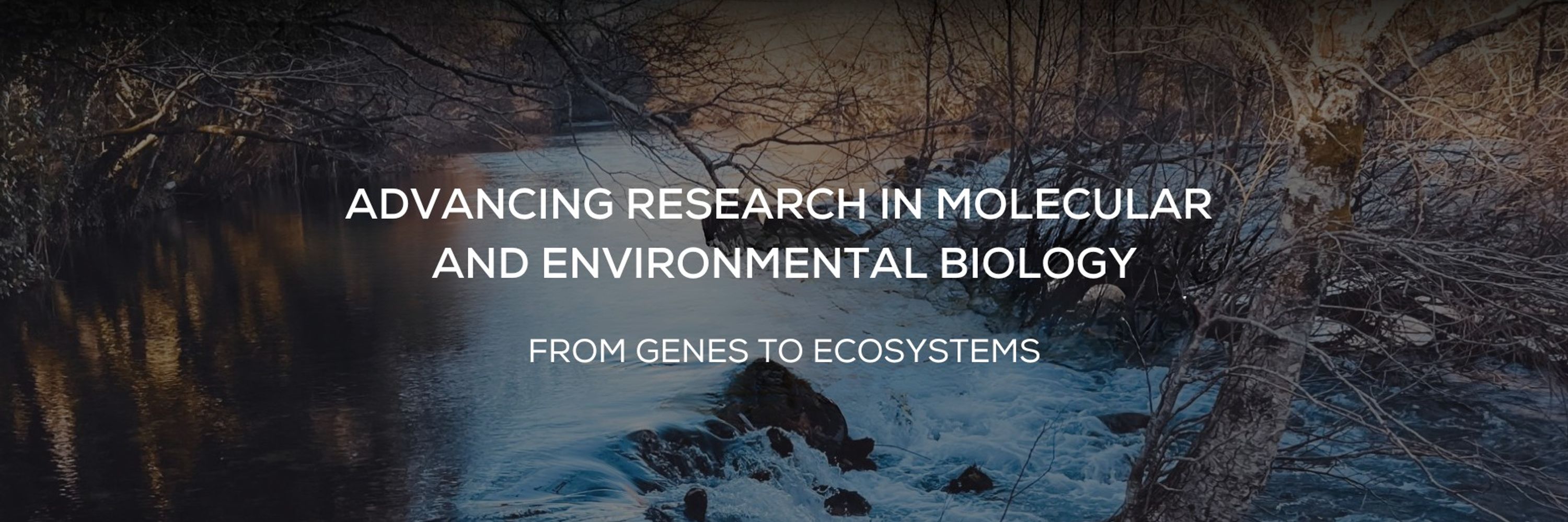 CBMA - Centre of Molecular and Environmental Biology 