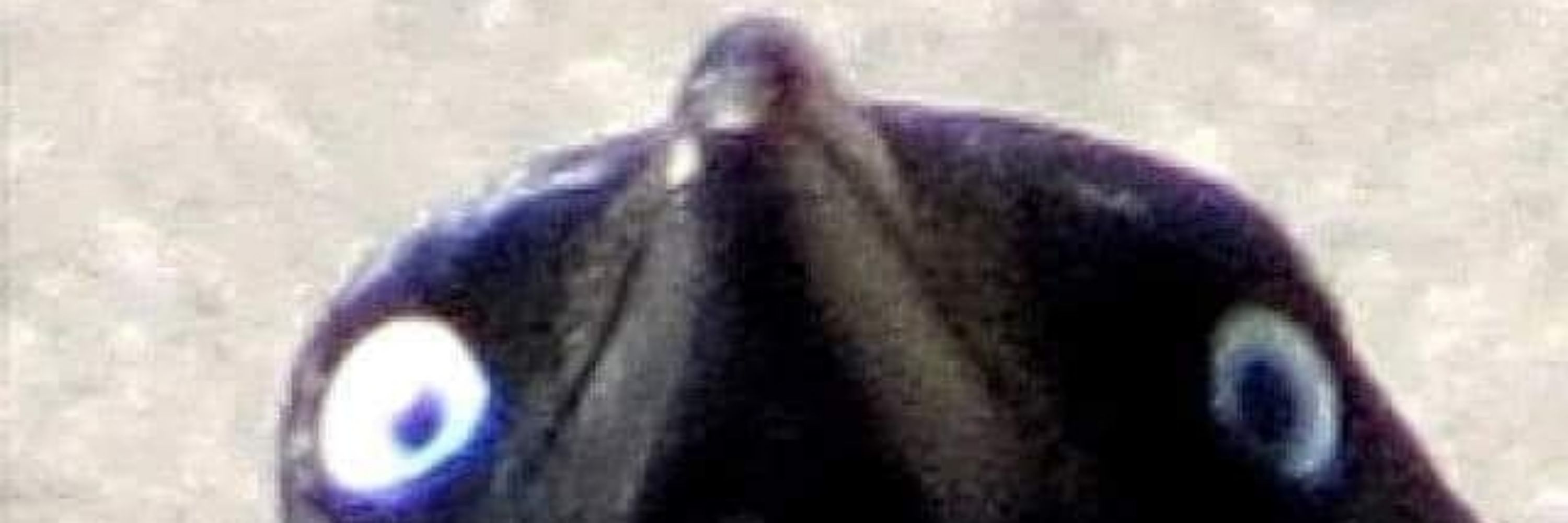 Thib