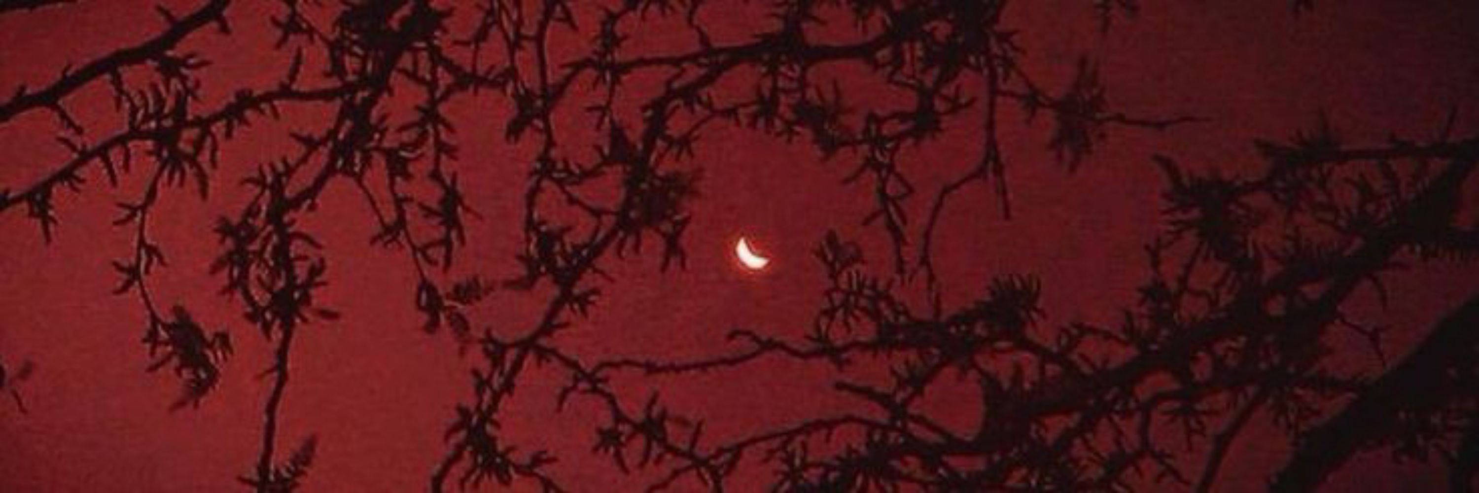 𝐉𝐮𝐥𝐢𝐞𝐭 ☾