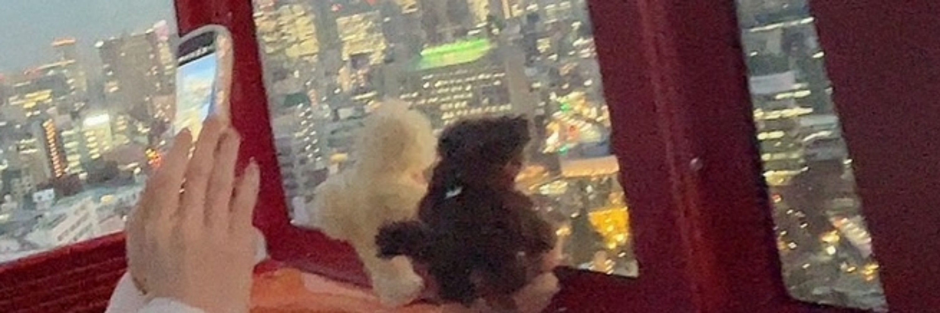 はくおじさん