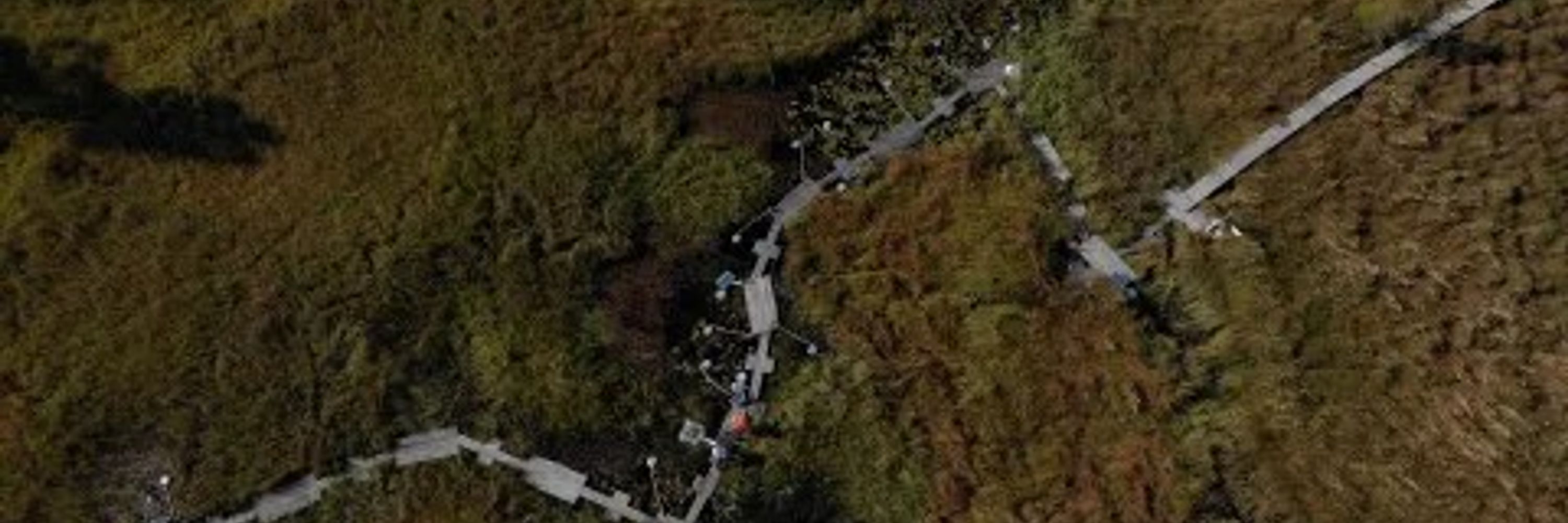 SITES - Swedish Infrastructure for Ecosystem Science