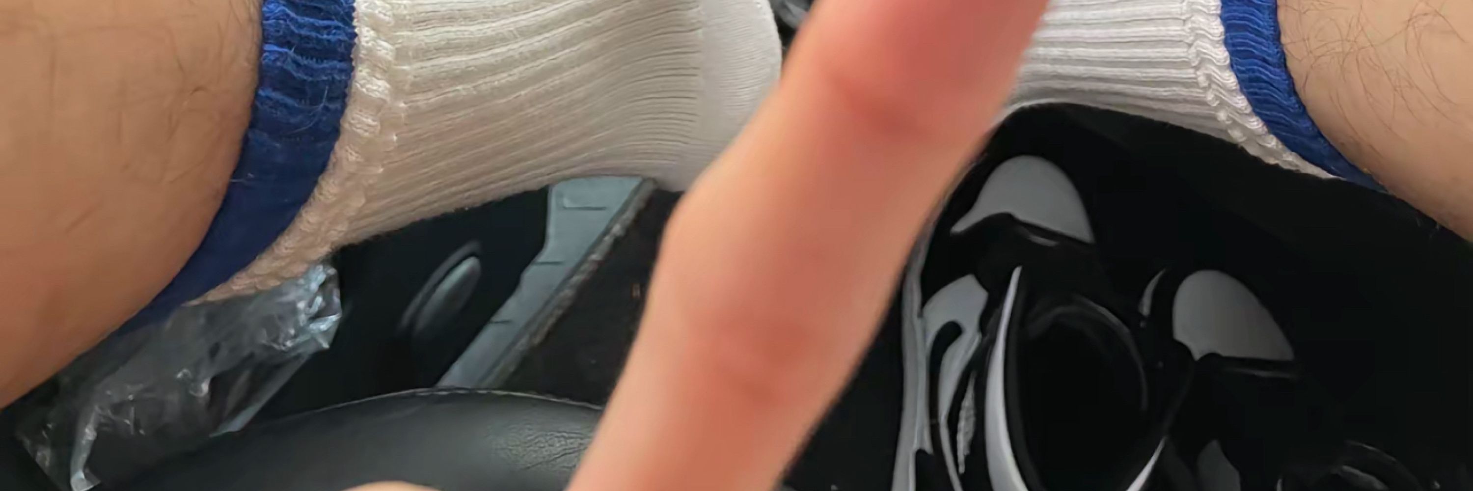 主人
