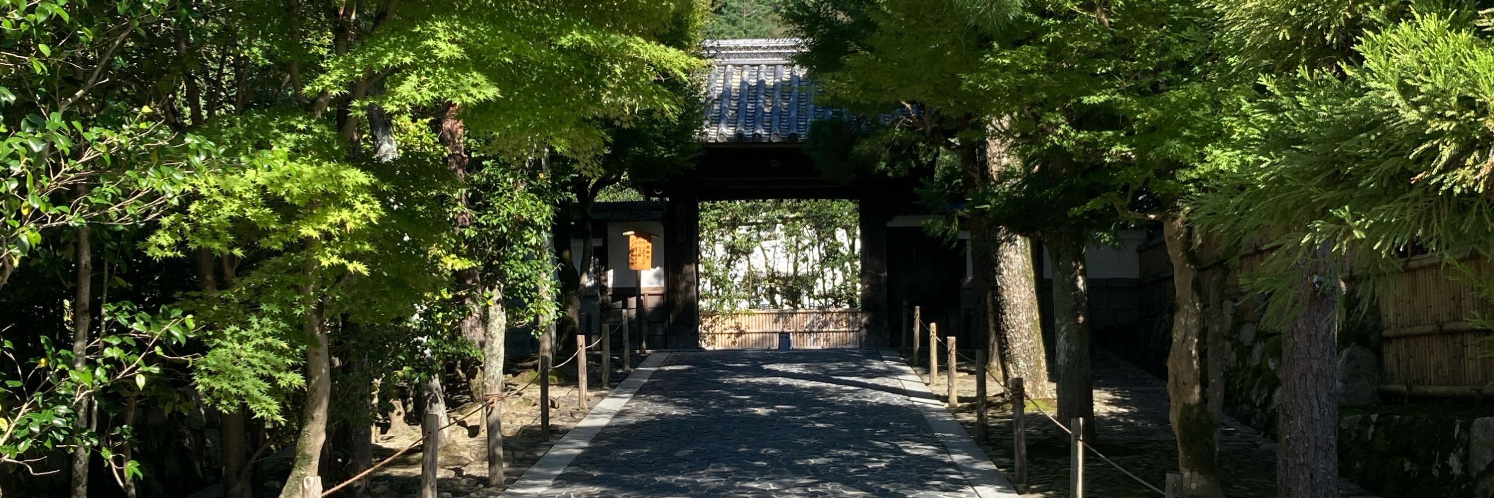 おとは