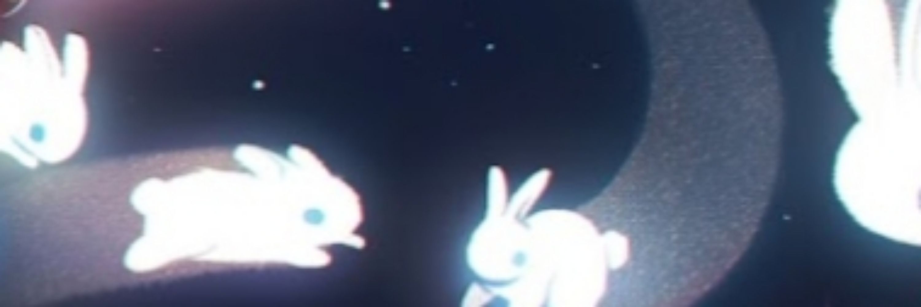 Bunni_Animates