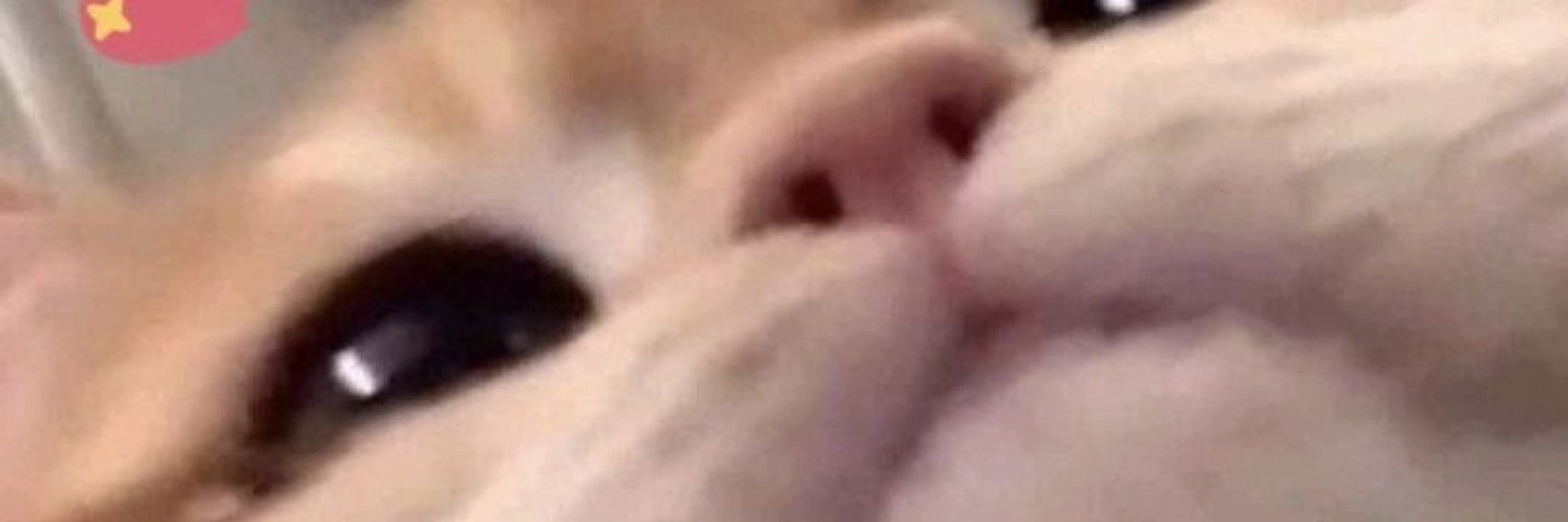 °^°