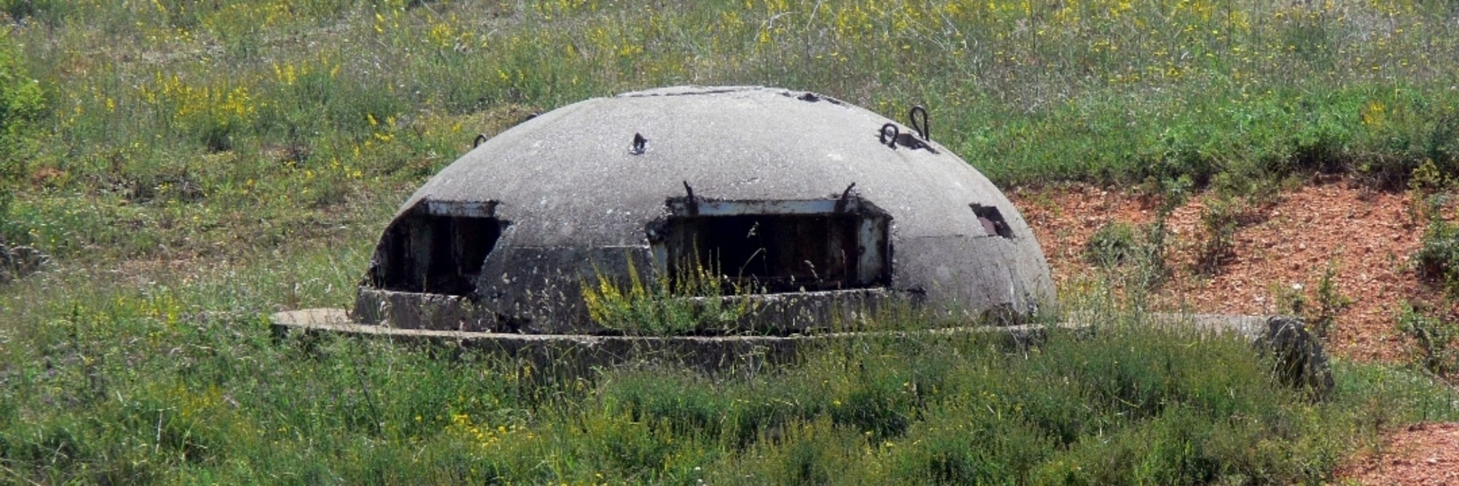 Wirezd57