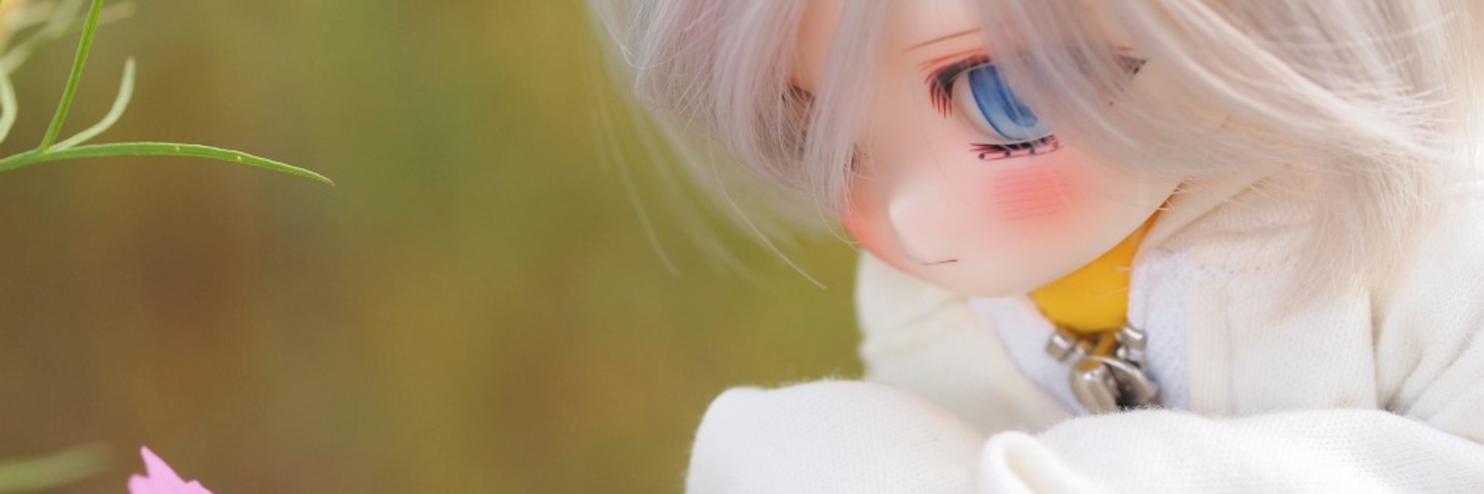 らいおんさん