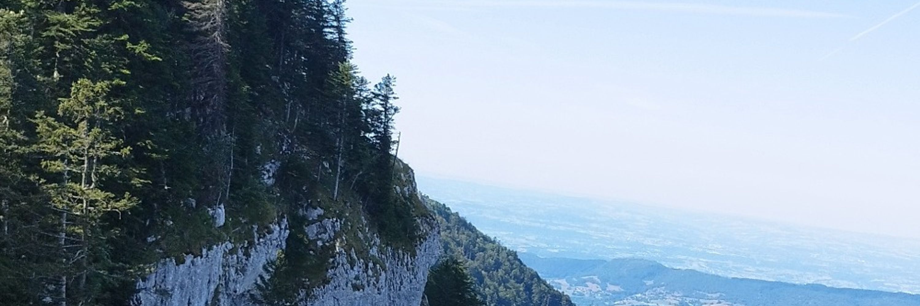 Le Châtissier