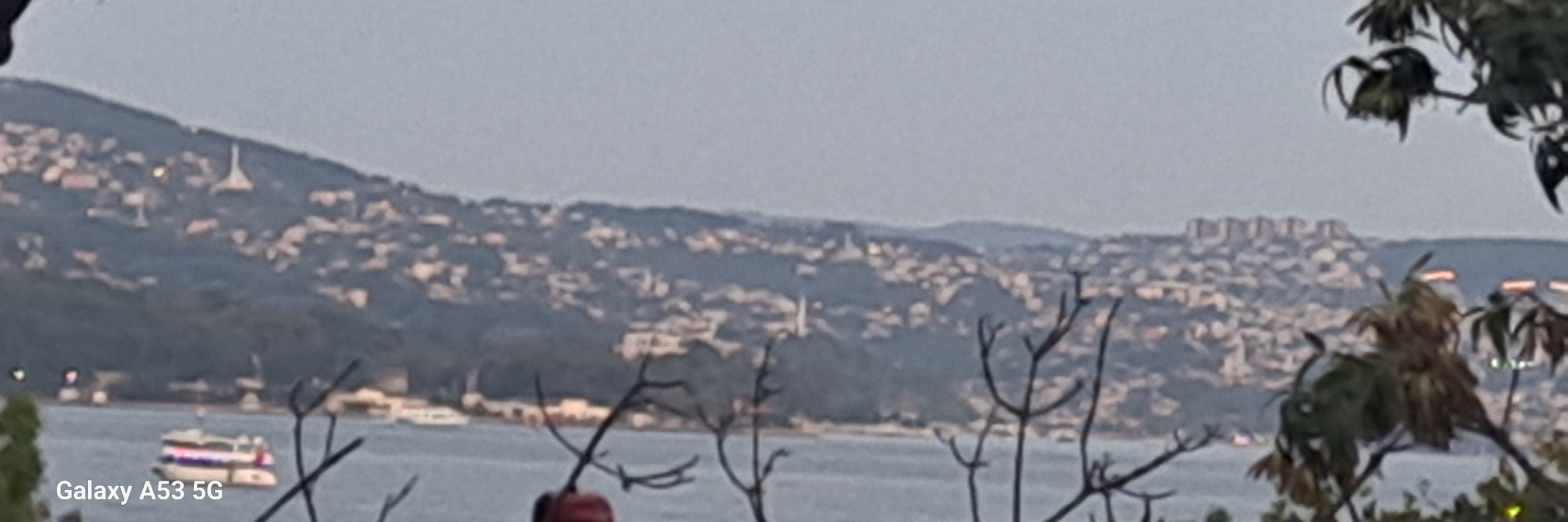 Zeynep Turkyilmaz