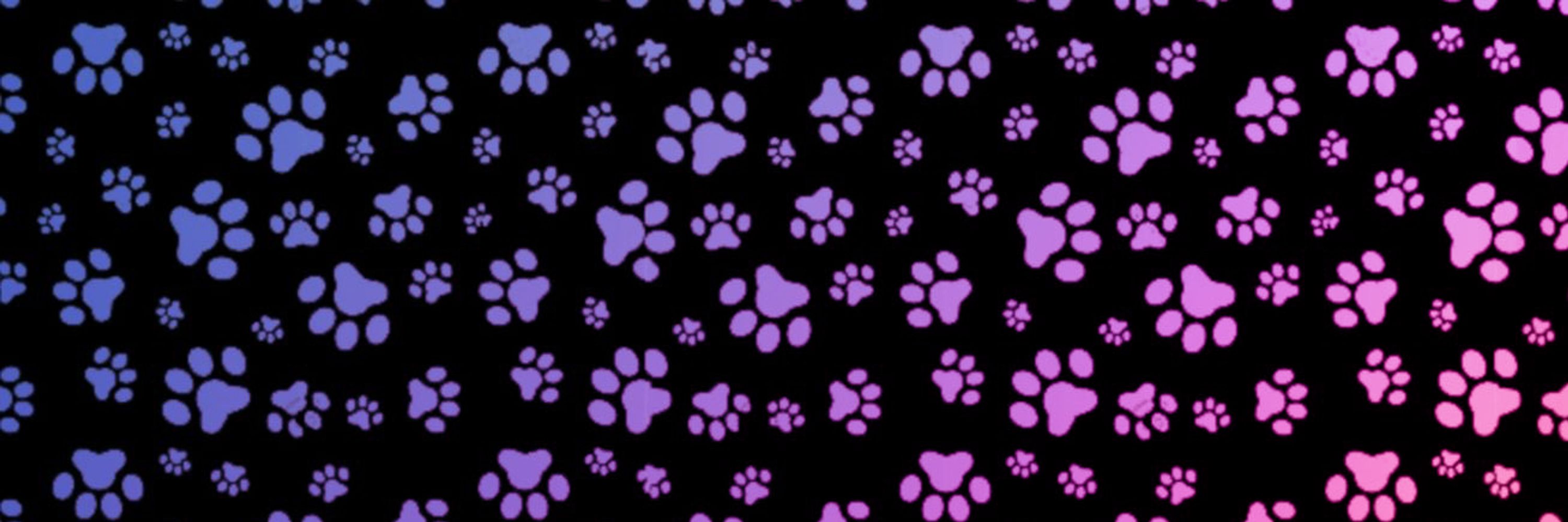 🔞Pebble πφ🐾