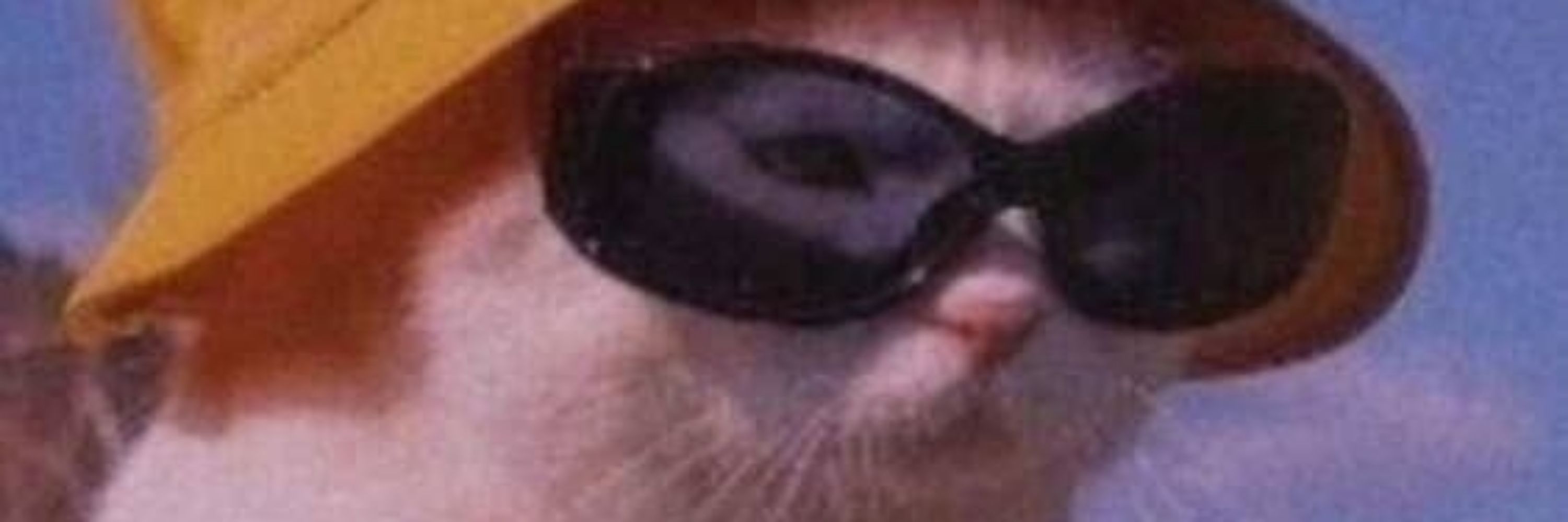 abel