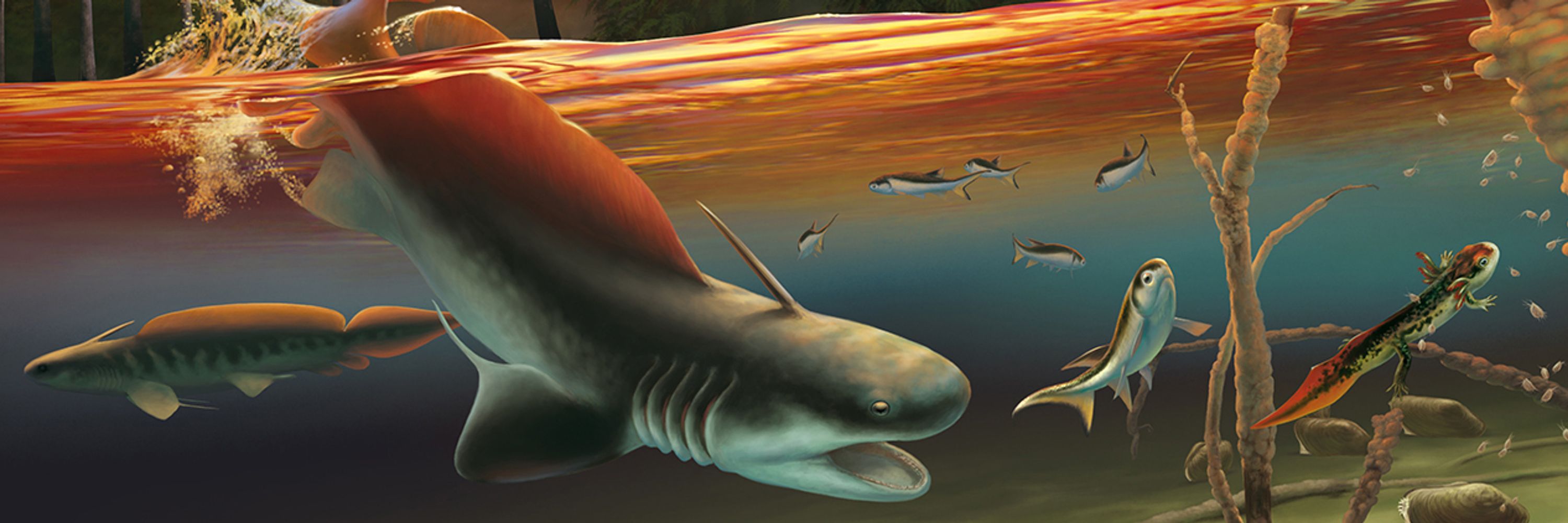 PALAEONAVIX