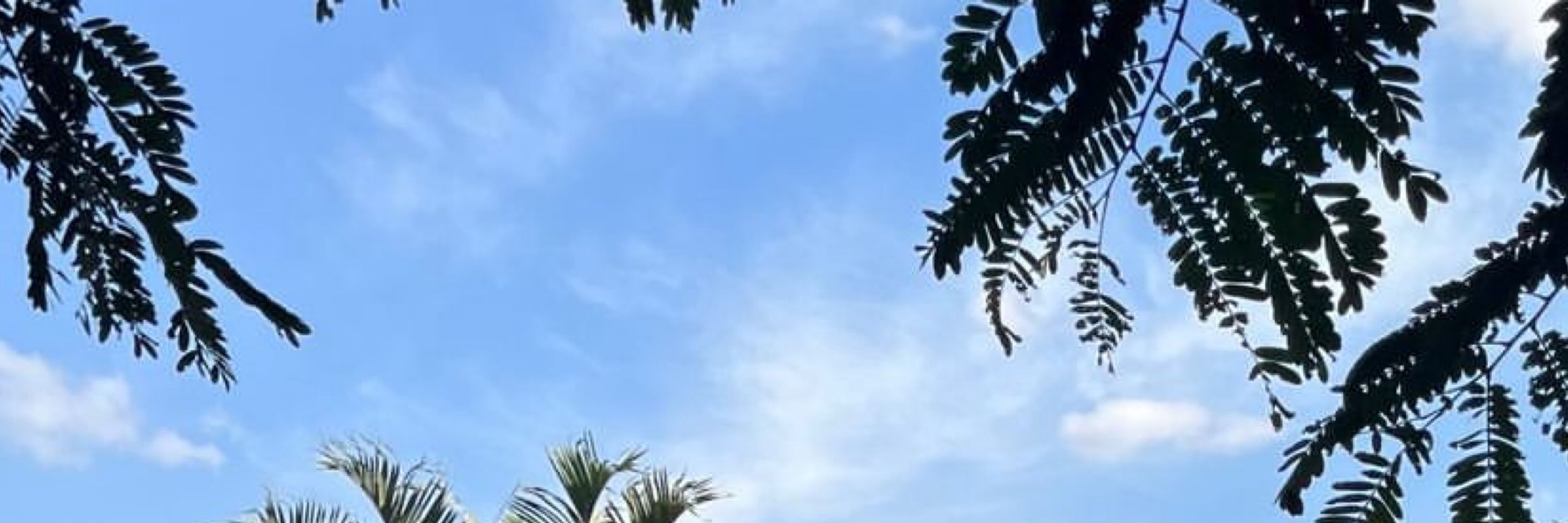 Daniela Alves @avecdani