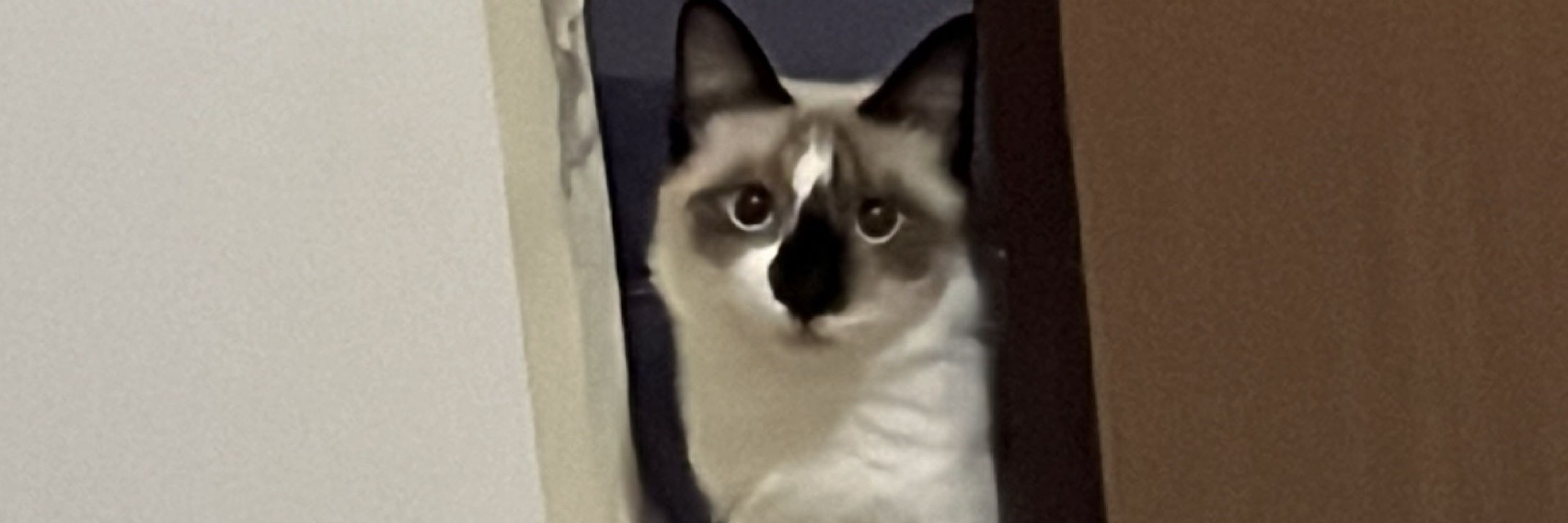 Luiza