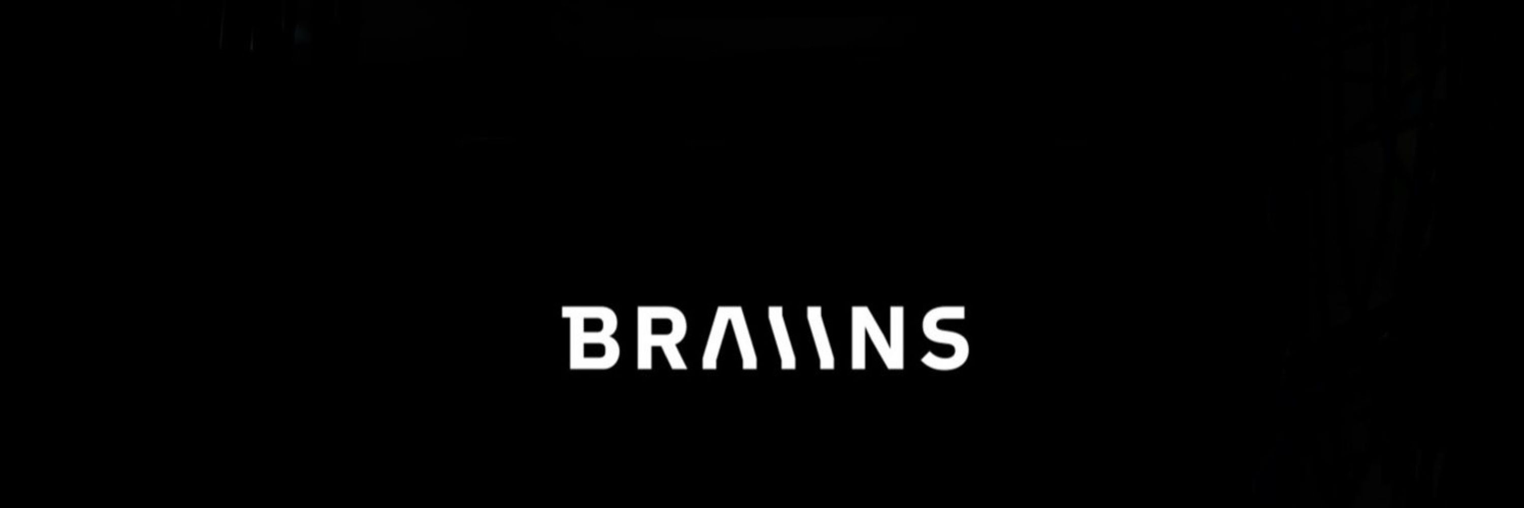 Brains