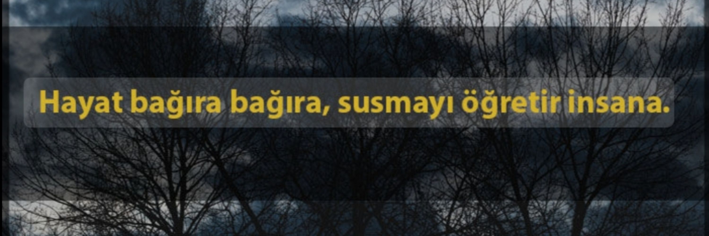 MİNE