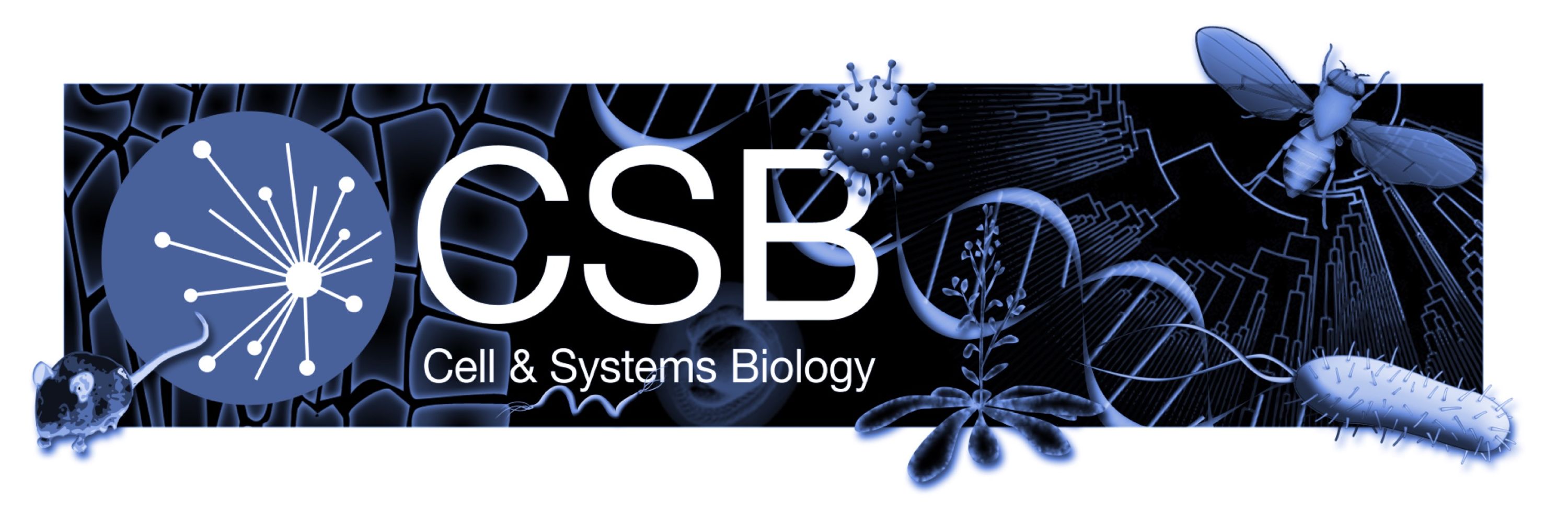 Cell & Systems Biology (CSB)