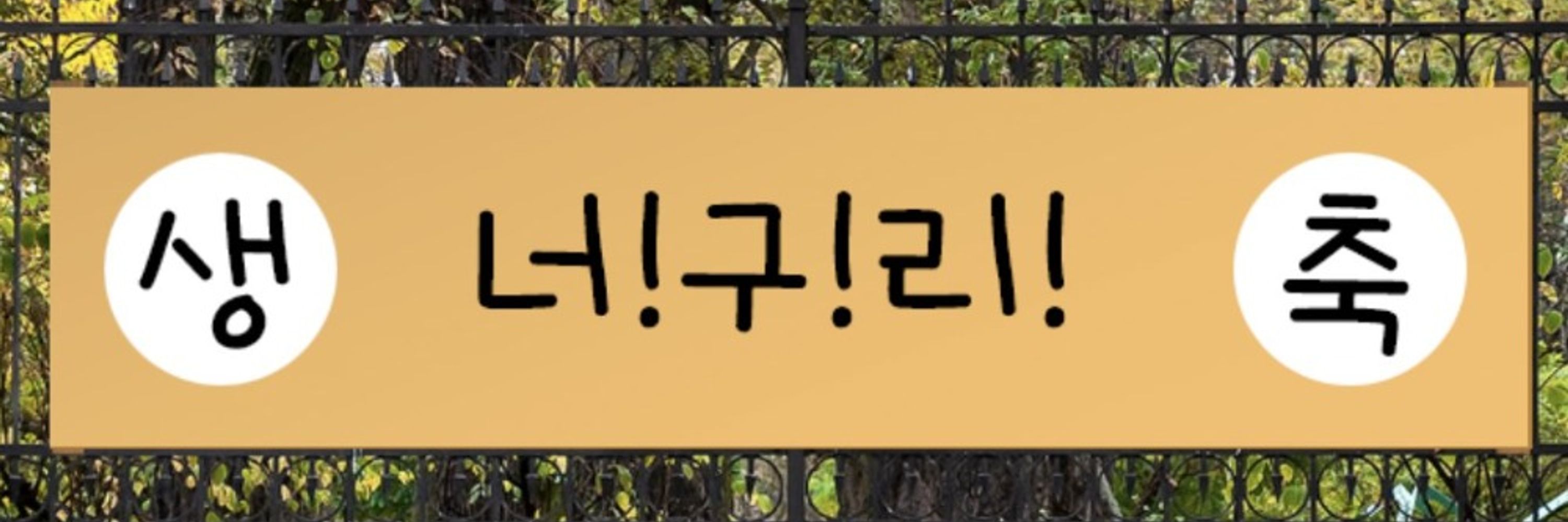 하이브리드 너구리