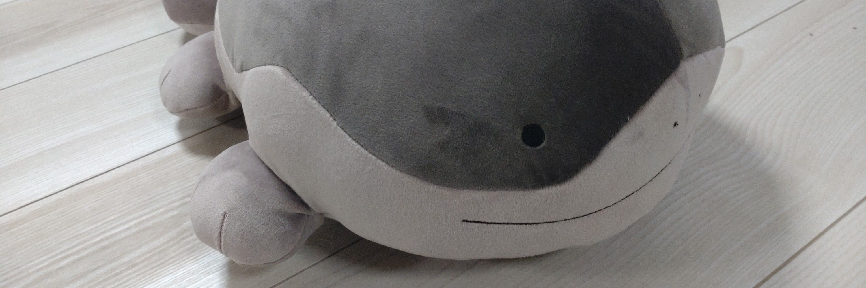 かのこ