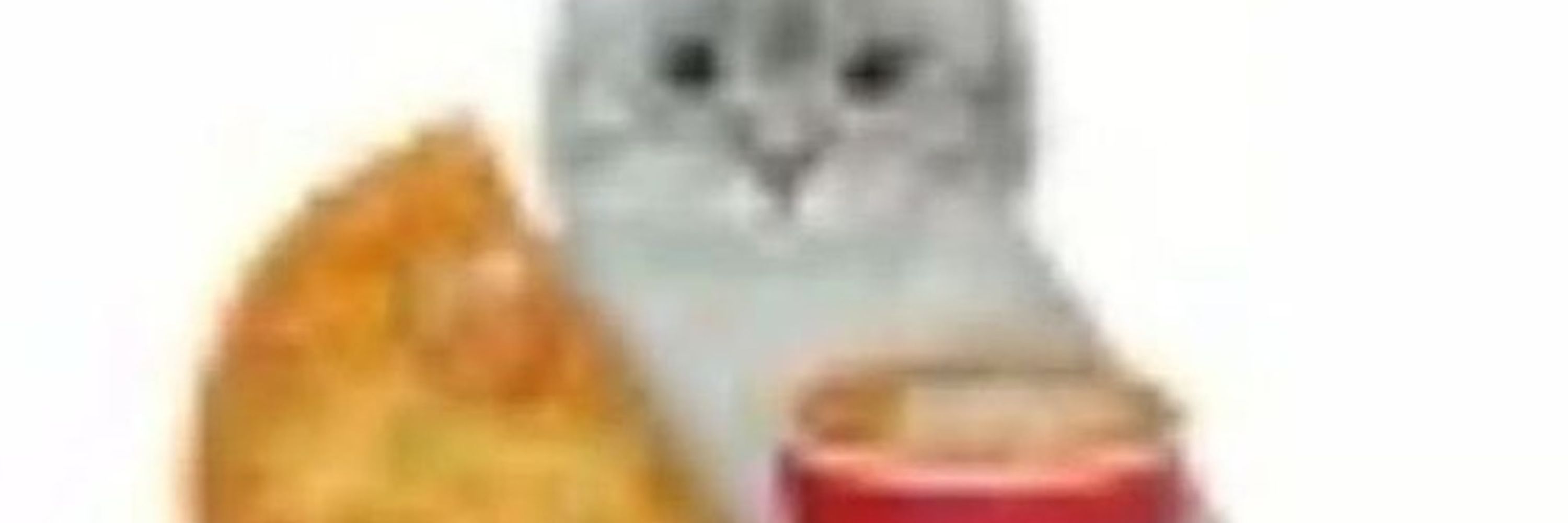 𝐕𝐨𝐥𝐚𝐭𝐢𝐥𝐞 𝐀𝐫𝐭𝐬