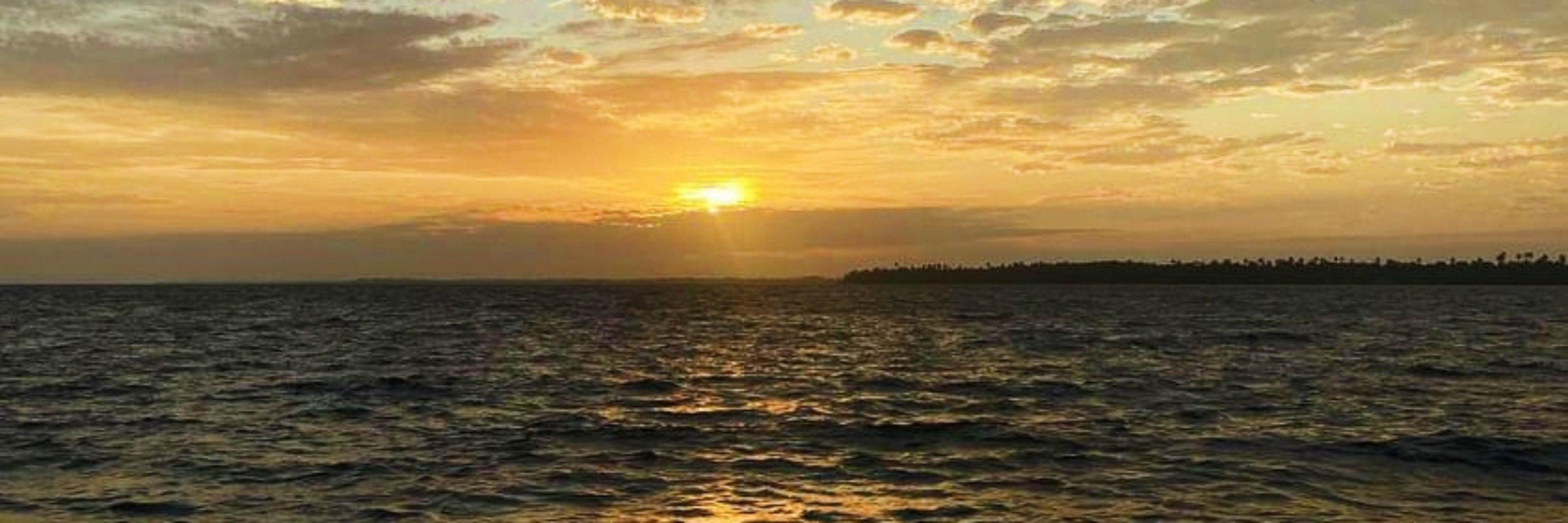 carlinhaa