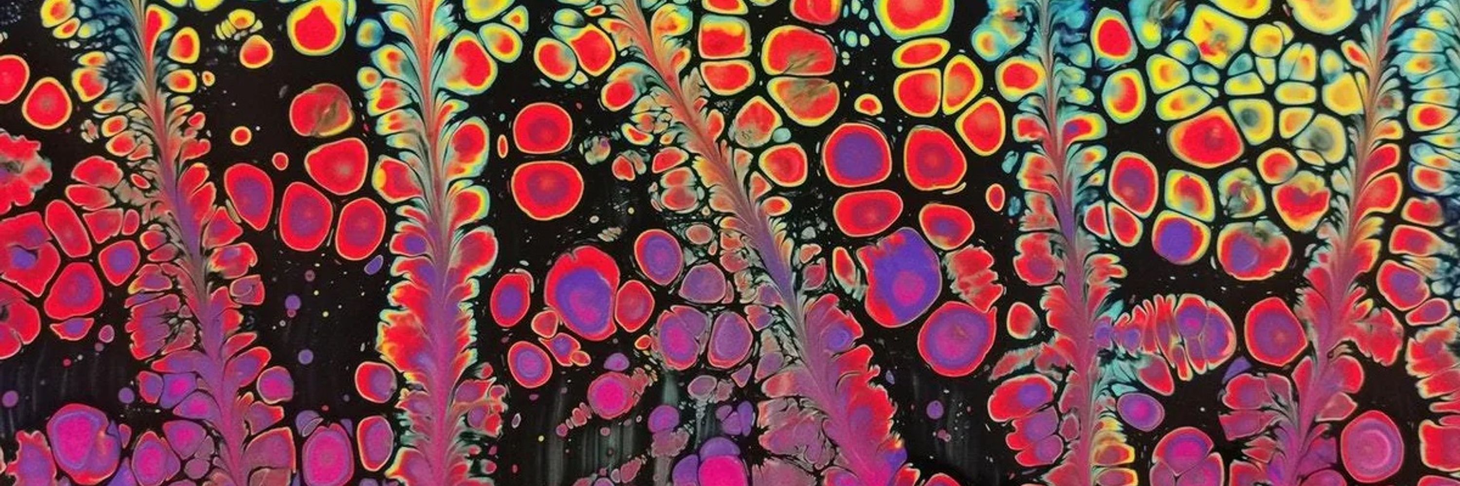 Lisa Schirch