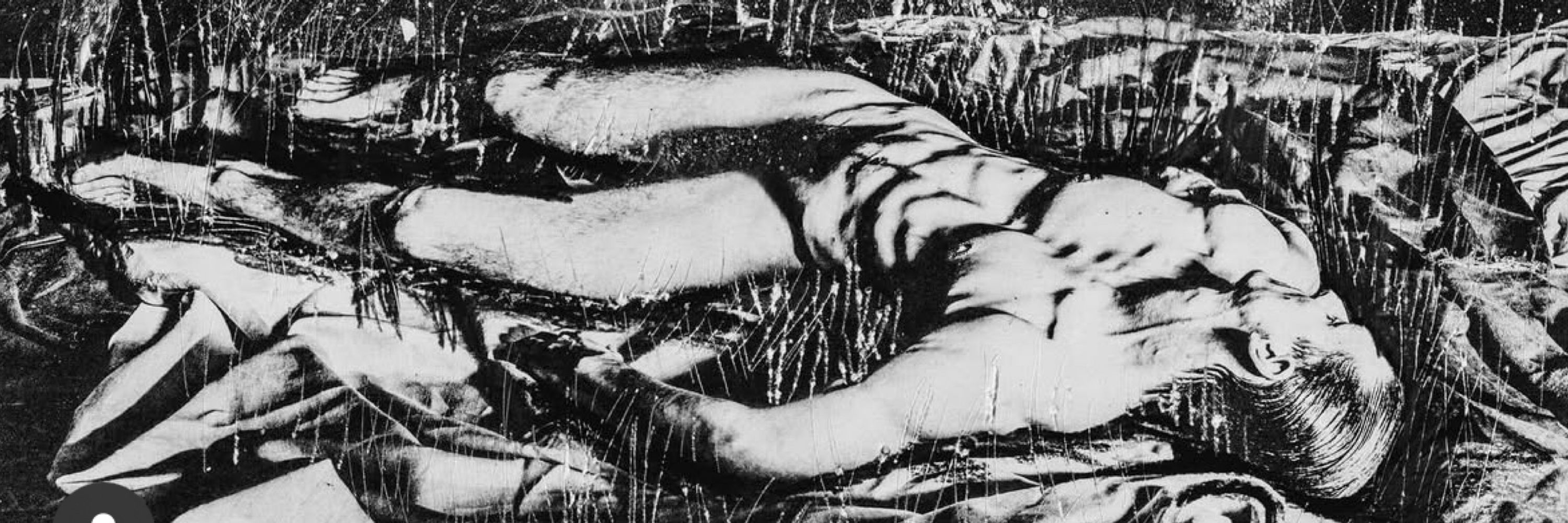 Camille Leprince