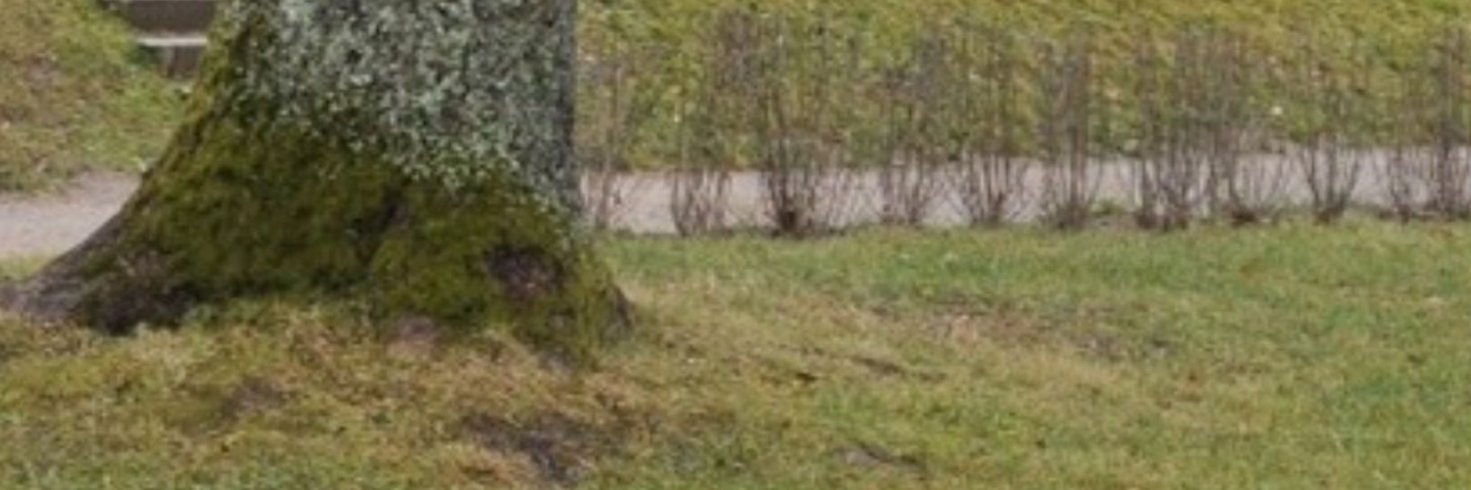 Tierfreund
