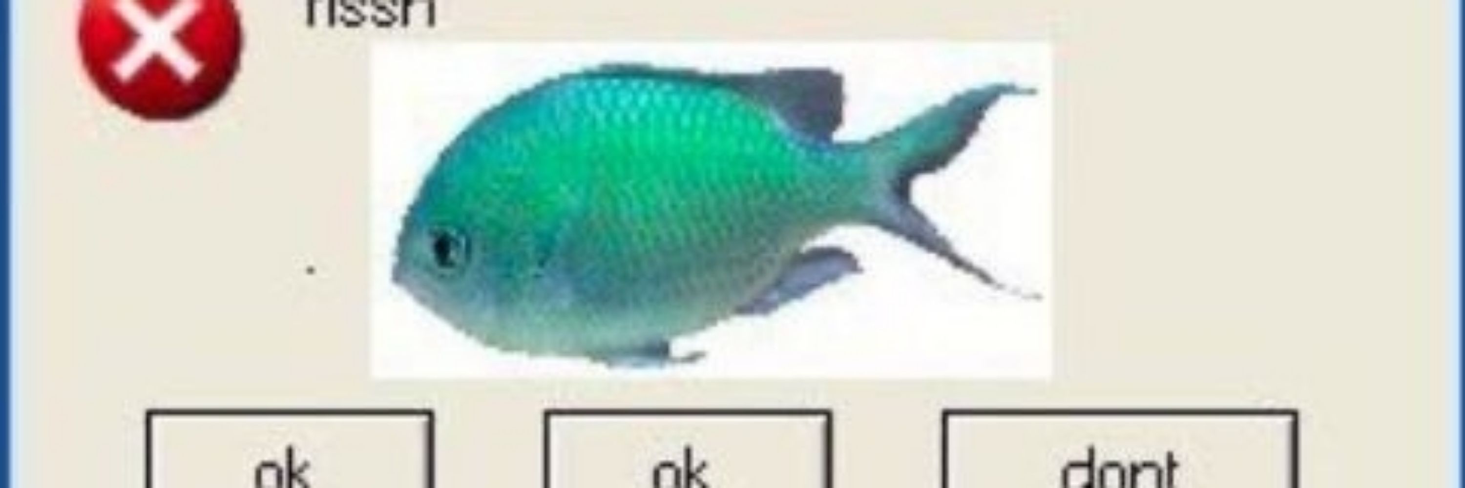 Gamzai Makary