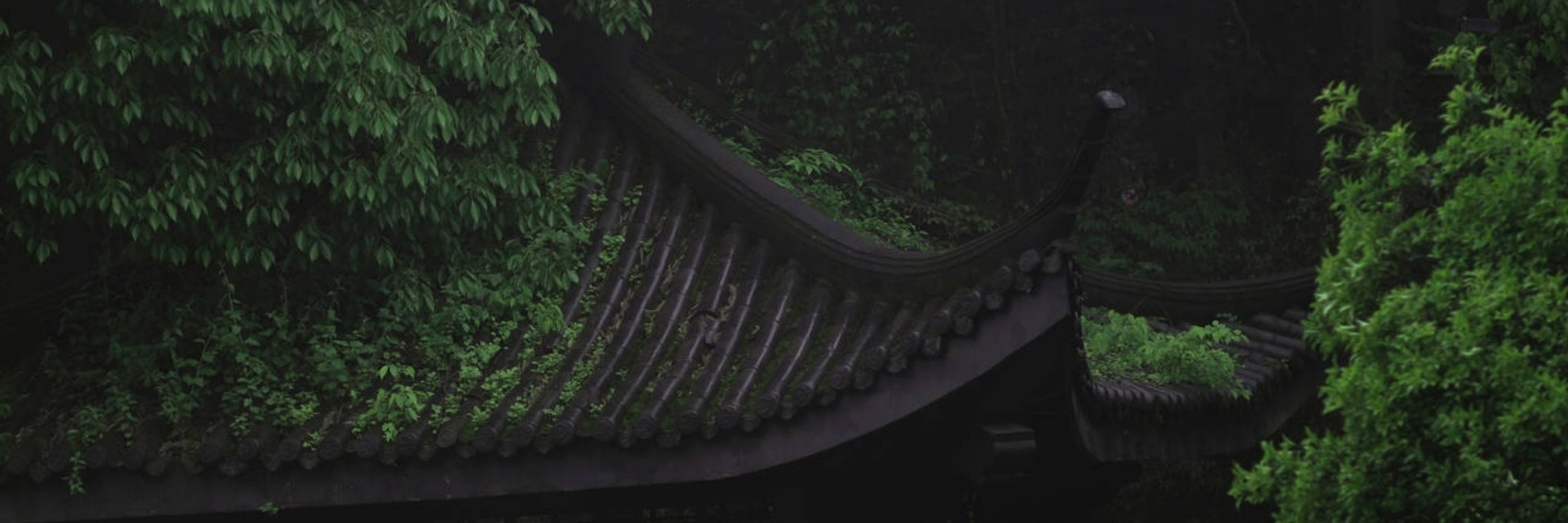 𝐋𝐨𝐬𝐟𝐞 , 𝐓𝐡𝐞 𝐂𝐮𝐥𝐭𝐢𝐬𝐭