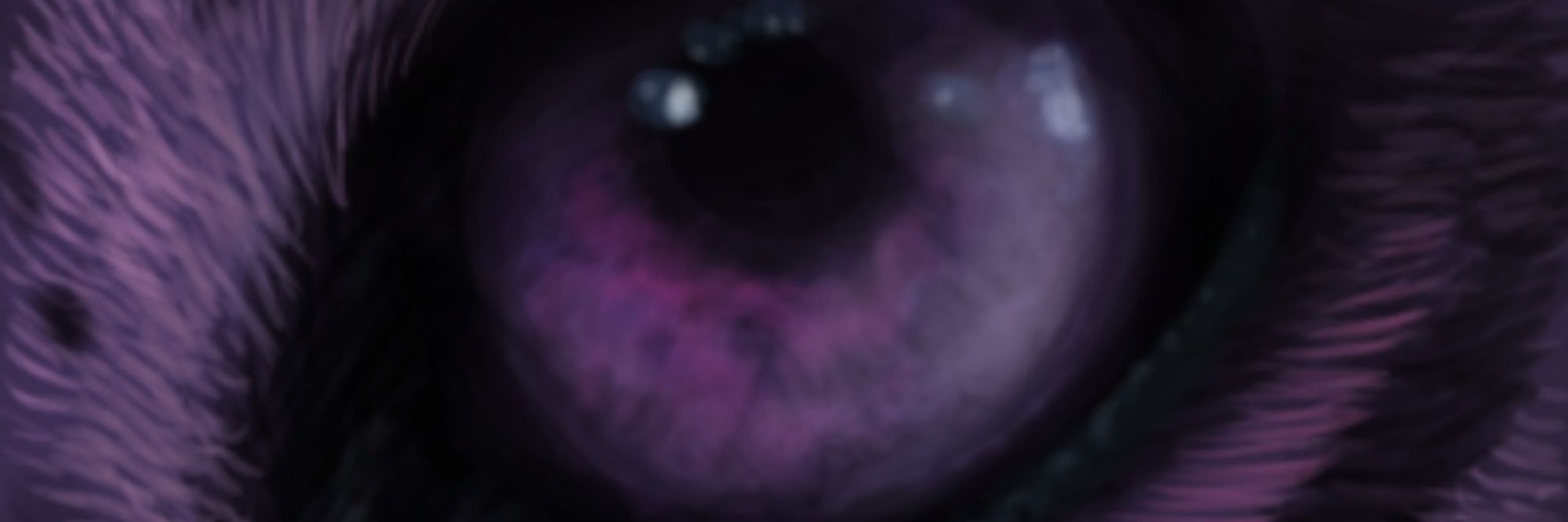Raikeira