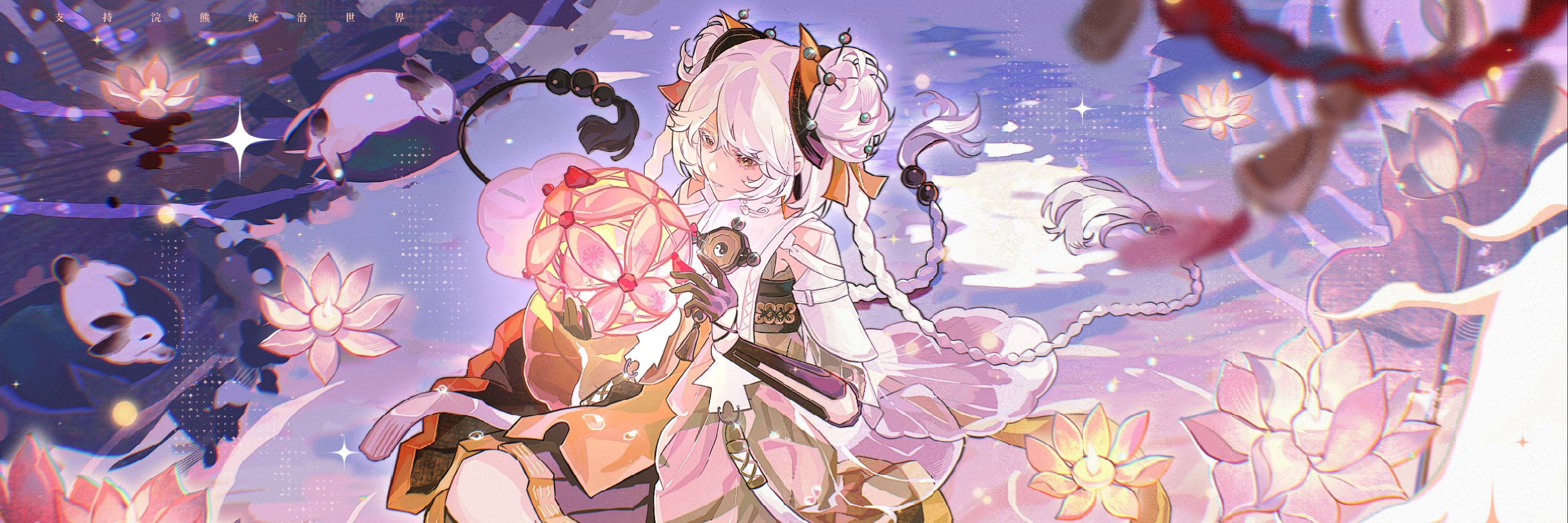 支持浣熊统治世界