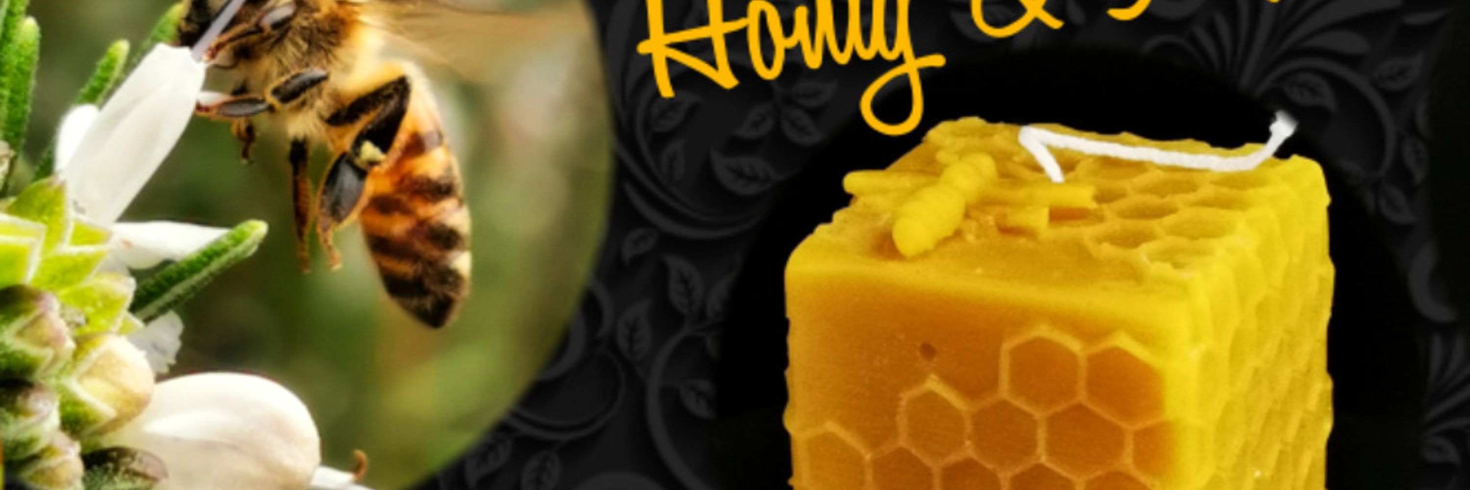Bee Lounge