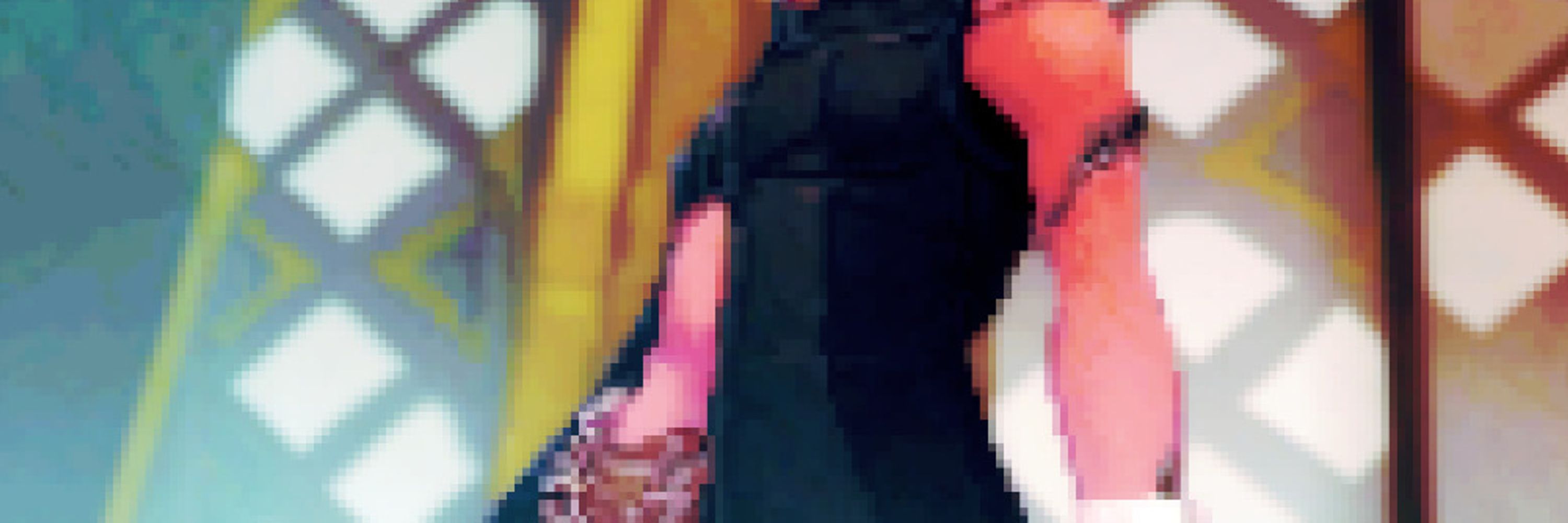 Pak "Pixel Fucker" Suki