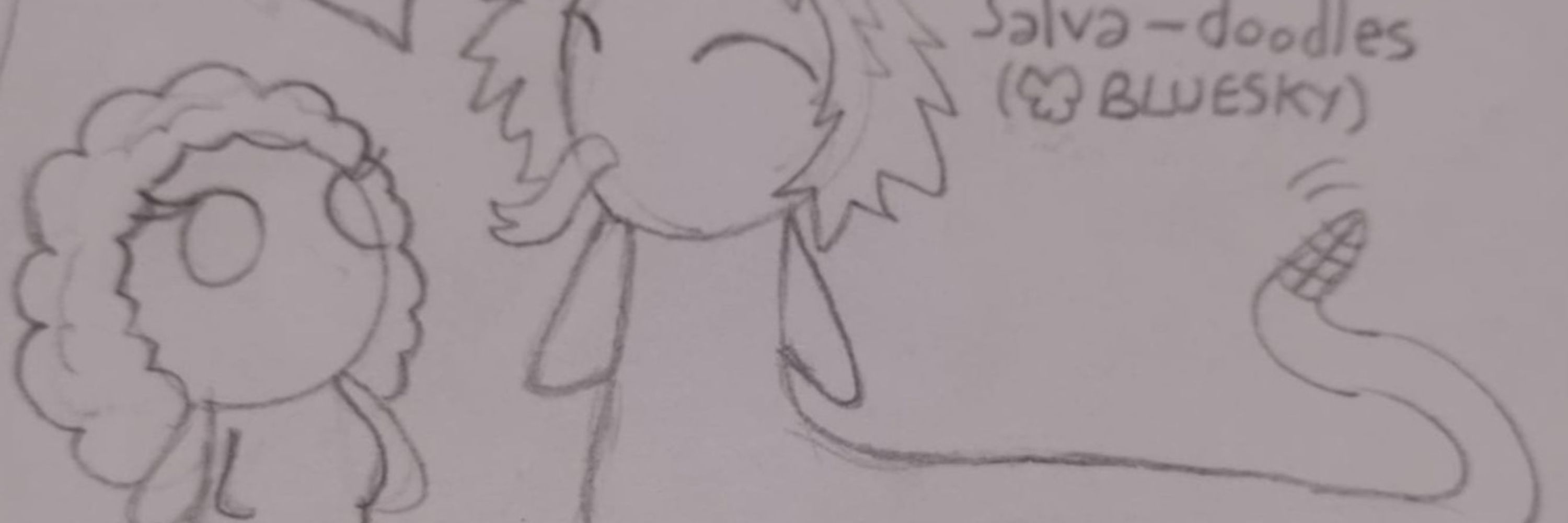 Salva-doodles