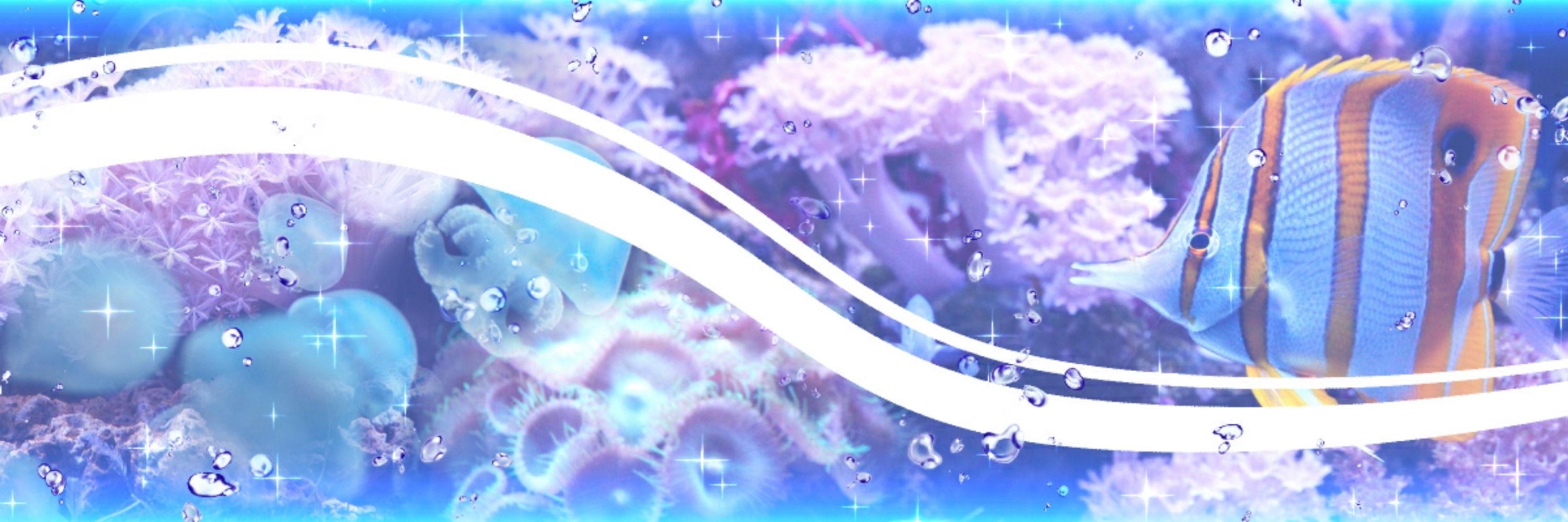 ☆S h e k i☆