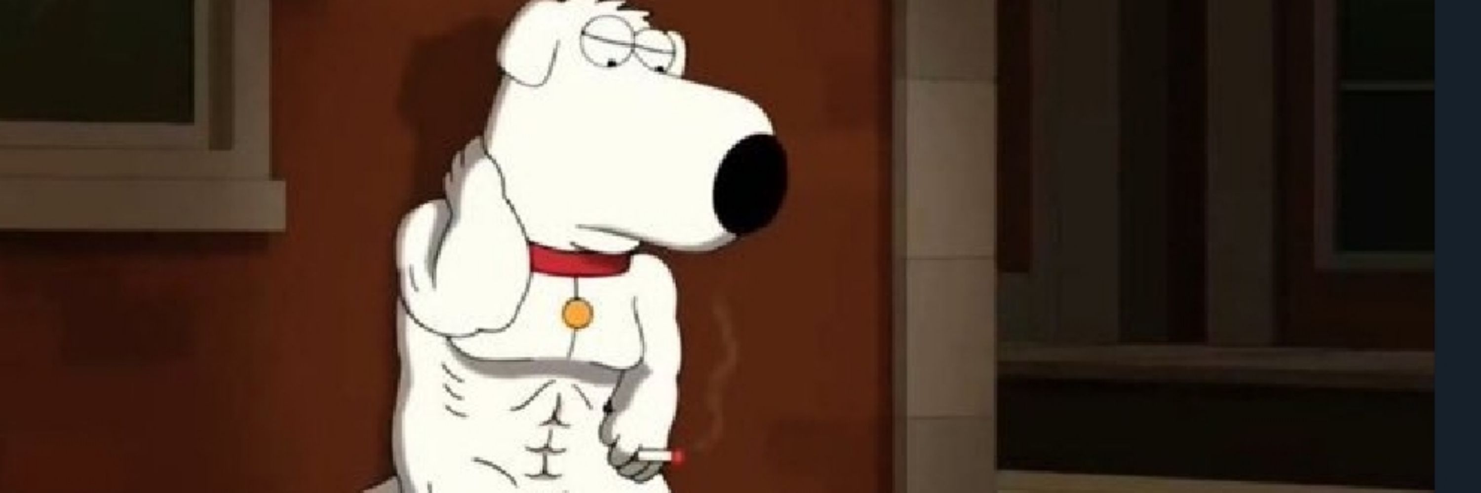 white drake