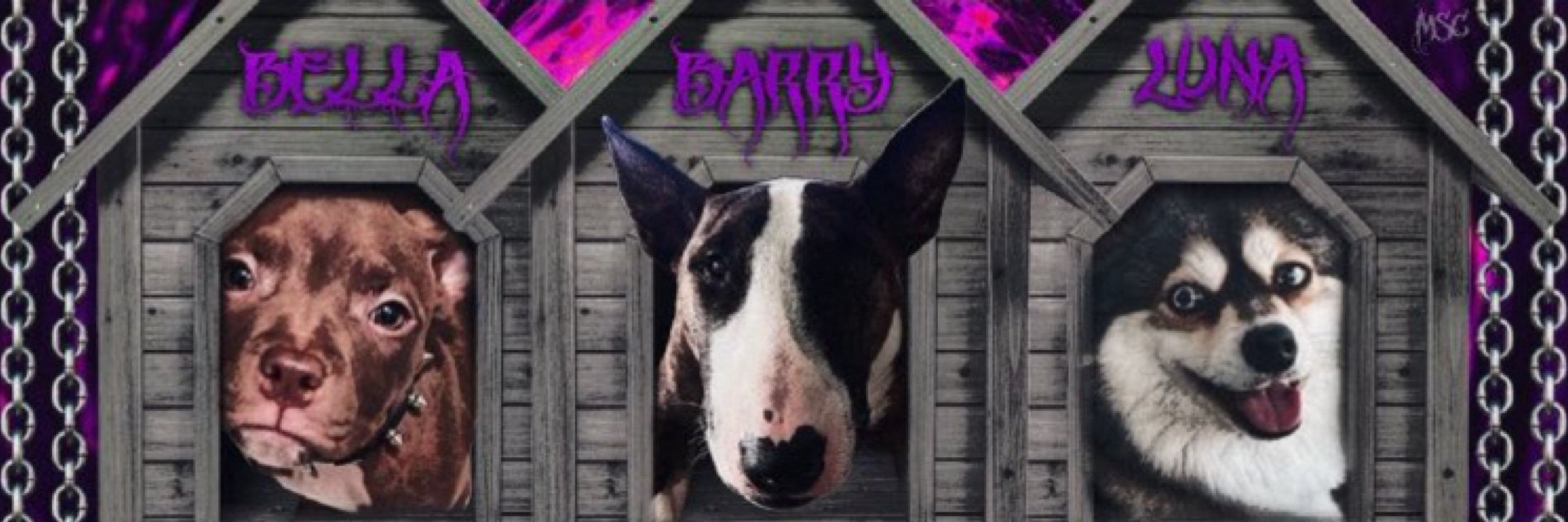 🕸️Barry Adam’s🕷️