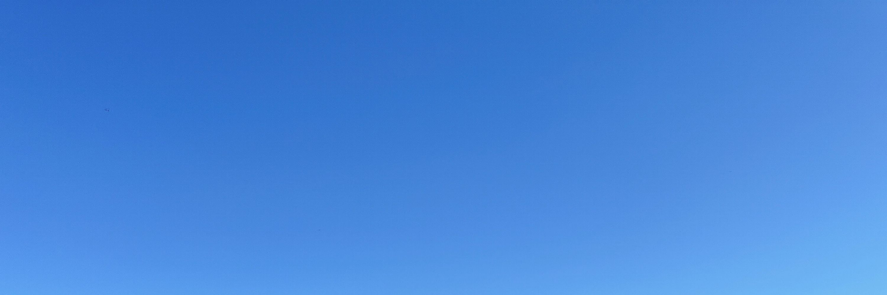 せな